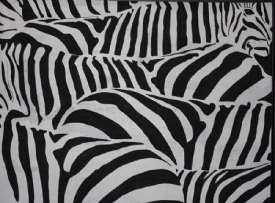 mine zebraer